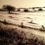 El paisaje en tinta thumbnail 1