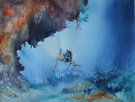 Coral reef 1