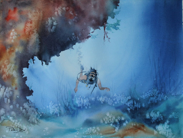 coral reef 1