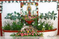 Guadalupe 083