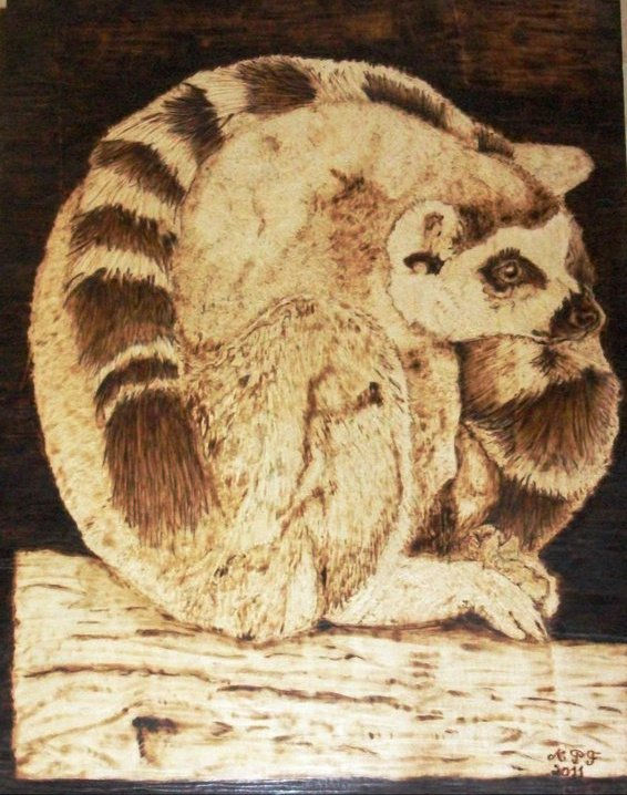lemur