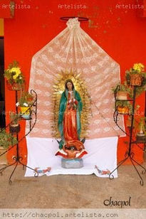 Guadalupe 081