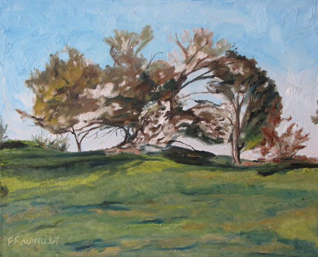 The Apple Trees On The Hill, Islandbrook, Quebec, Canada Oil Canvas Landscaping