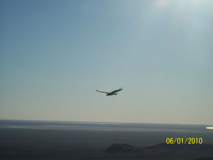 Libertad