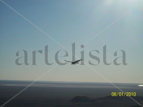 Libertad