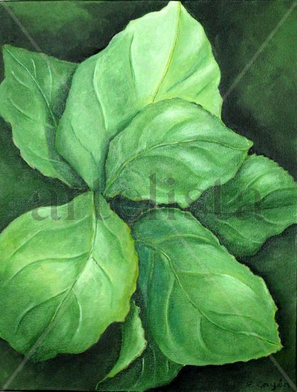 Hojas de Hortensia Acrylic Canvas Others