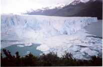 "Gigante Blanco"