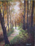 paisaje gallecs