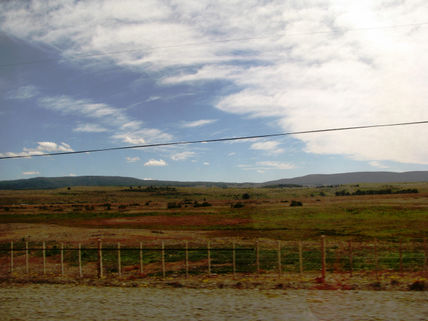 Caminos