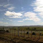 Patagonia thumbnail 1