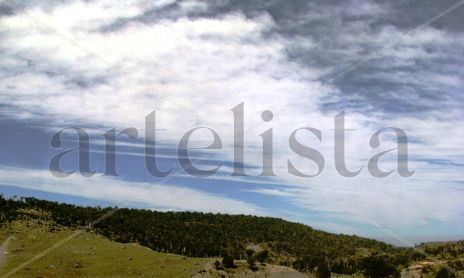 Patagonia