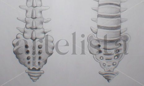 ANATOMIA