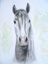 Caballo