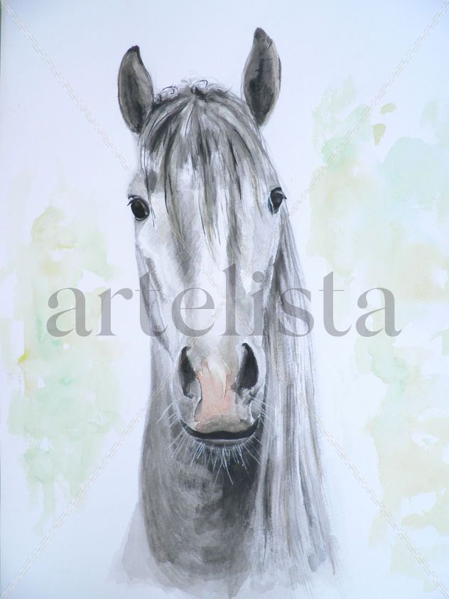 Caballo