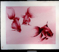 Peces Rojos