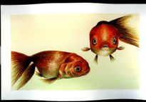 Pez asustado