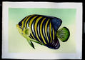 Pez Amarillo