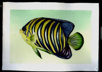 Pez Amarillo