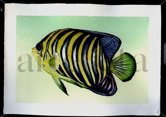 Pez Amarillo 