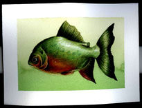 Piraña