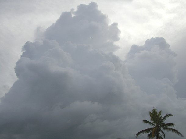 Nube Tulum Naturaleza Color (Digital)