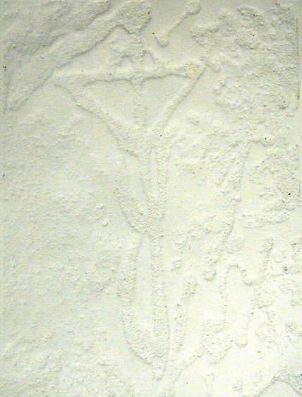 Cruciforme (i)