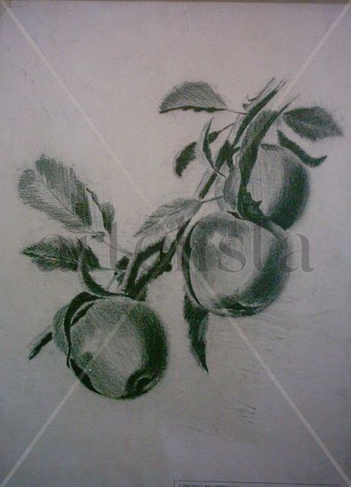 3 ,manzanas,frutas,bodegon,bodegones,pintura,oleos,dibijos,carboncillo,grafito,retratos,figurativo,realista, Lápiz