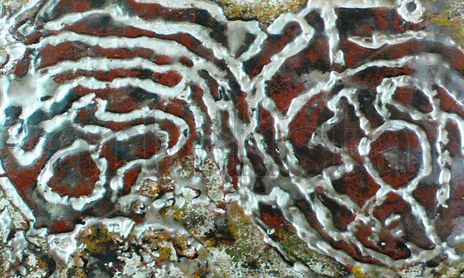 SERIE METALICA (III)