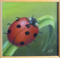 Lady Bug