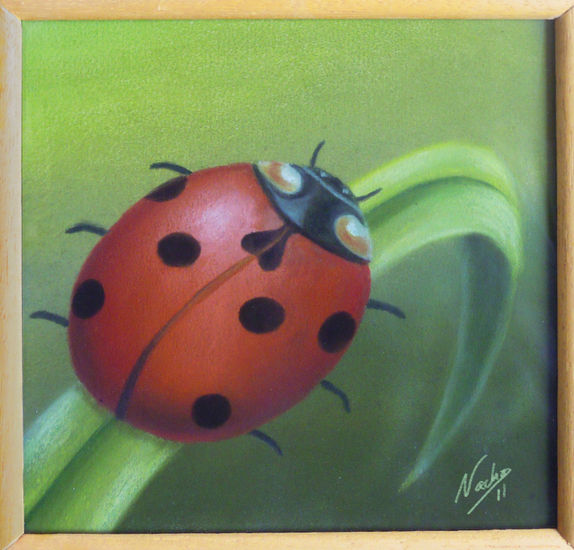 Lady Bug Pastel Paper Others