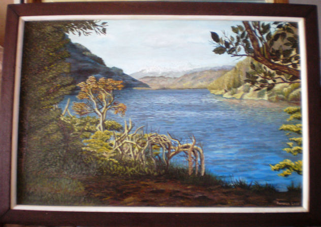 paisaje los alerces