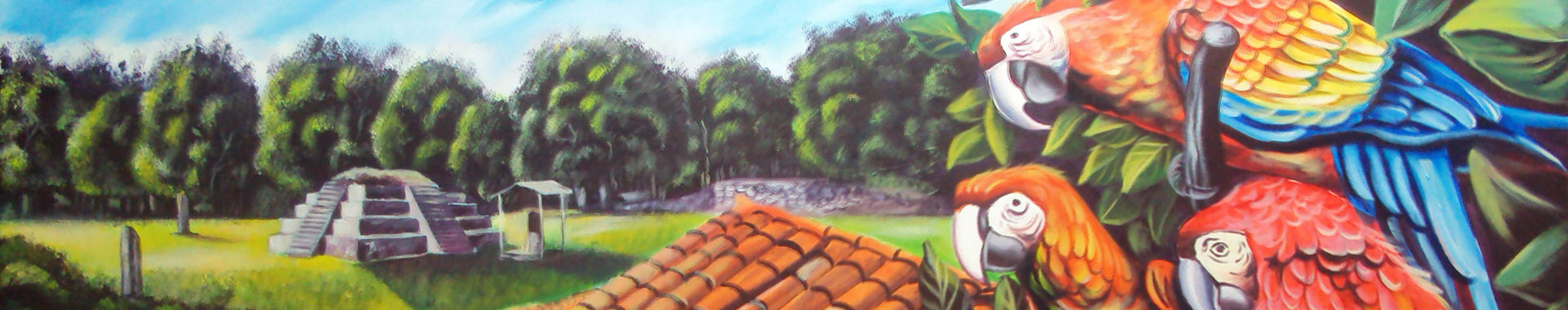 Imagen de portada