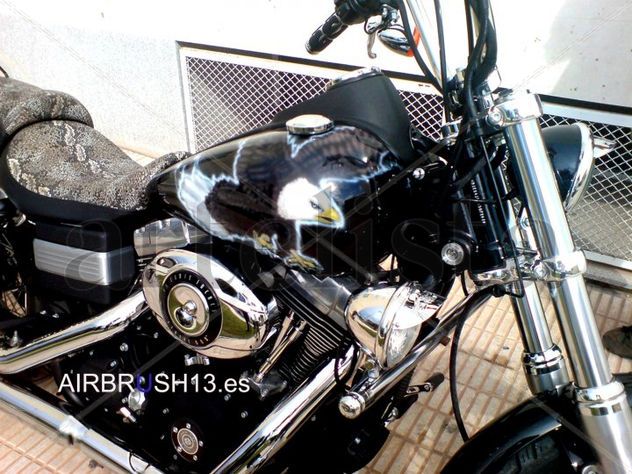 Águila calva HARLEY DAVIDSON