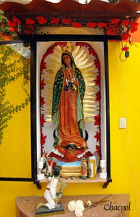 Guadalupe 077