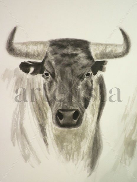 Toro