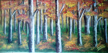 Bosque de abedules...