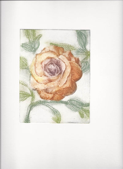 Rosa Aquatint