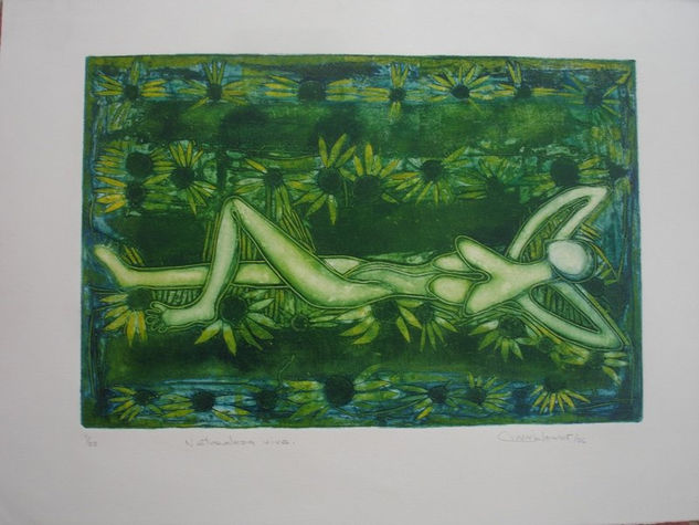 Mujer naturaleza, 2006 Collagraphy