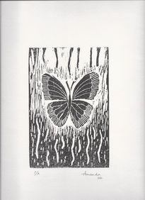 Mariposa Negra