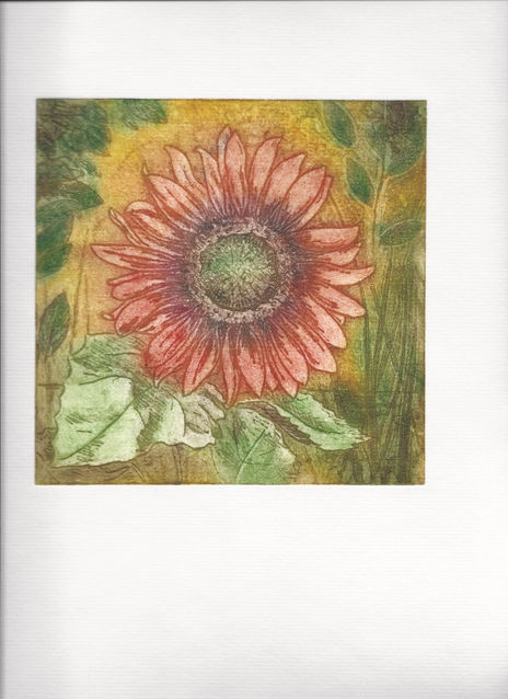 Girasol Rojo