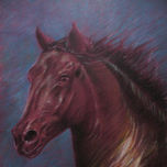 ilustracion animales thumbnail 1