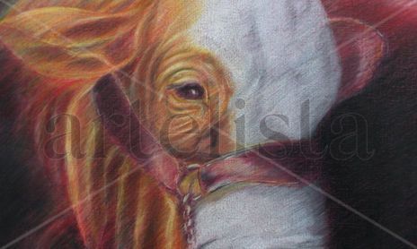 ilustracion animales