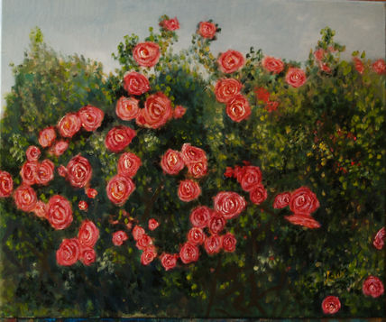 E19 Rosal (2011)