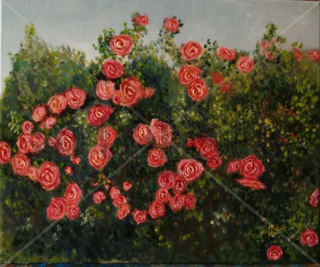 E19 Rosal (2011)