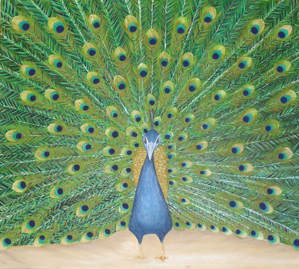 El esplendor del Pavo Real Oil Canvas Animals