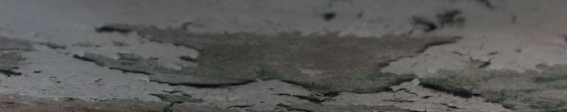Imagen de portada