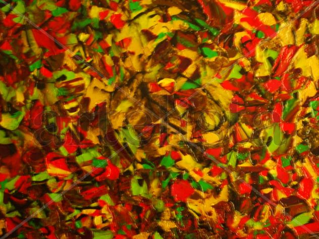 reboloteo  de  alas  de mariposas  en espiral