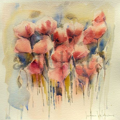 Amapolas 3