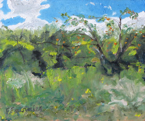 Wild Apples Quebec...