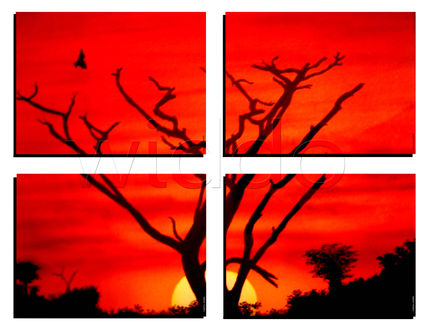 Atardecer   (mural...